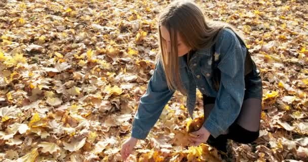 La mujer joven recoge las hojas caídas coloridas otoñales. Chica recoger hoja amarilla — Vídeos de Stock