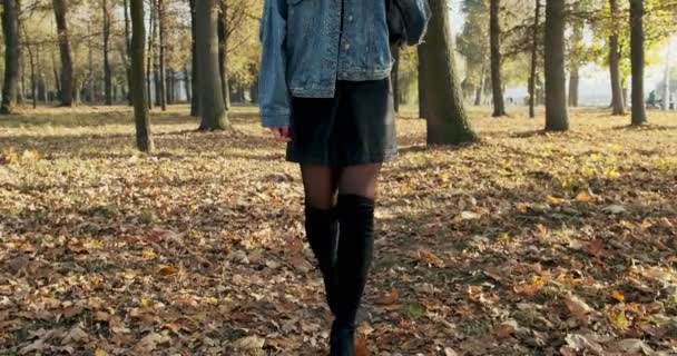 Una joven camina por el parque otoñal. Chica pasea por el parque de la ciudad de otoño en un día soleado y cálido. Hojas amarillas y anaranjadas caídas — Vídeos de Stock