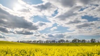 Zaman aşımı kanola alanı. Parlak gün ışığında kolza tohumu tarlası ve hareket eden bulutlar, zaman kavramı