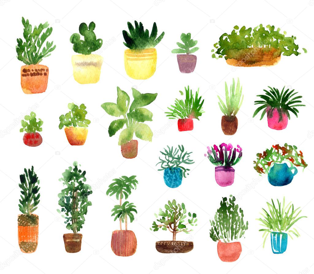 houseplants watercolor set, collection of indoor plants isolated on white background. Hand drawn elements for flower shop, office or home interior design
