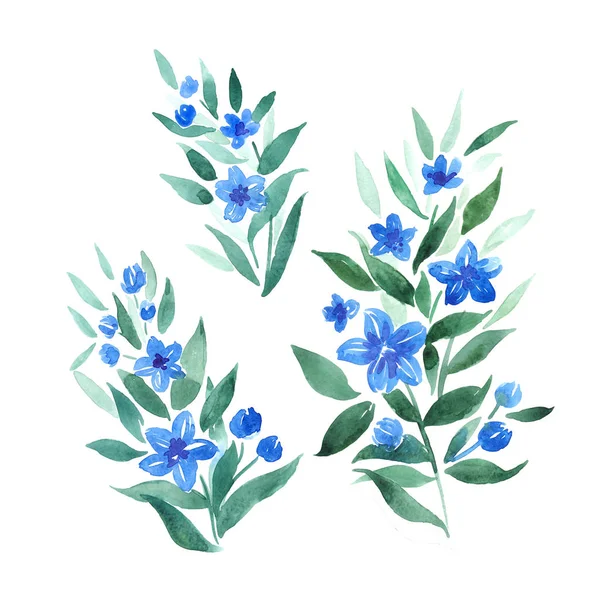 Galhos Aquarela Com Flores Azuis Elementos Botânicos Decorativos Para Design — Fotografia de Stock