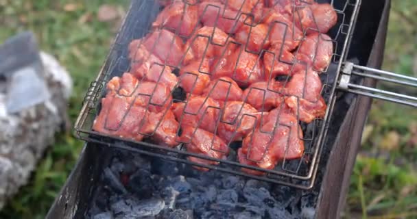 Barbekü ızgara kazığa. Et parçası — Stok video