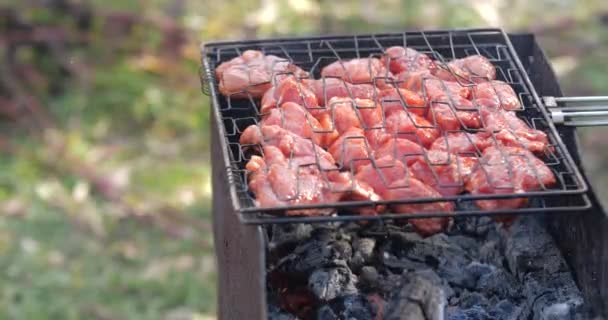 Paletto grigliato sul barbecue. Pezzo di carne — Video Stock