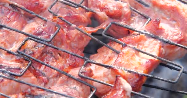 Grilled stake on barbecue. Piece of meat — Stock Video