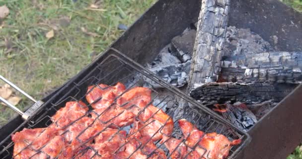 Barbekü ızgara kazığa. Et parçası — Stok video