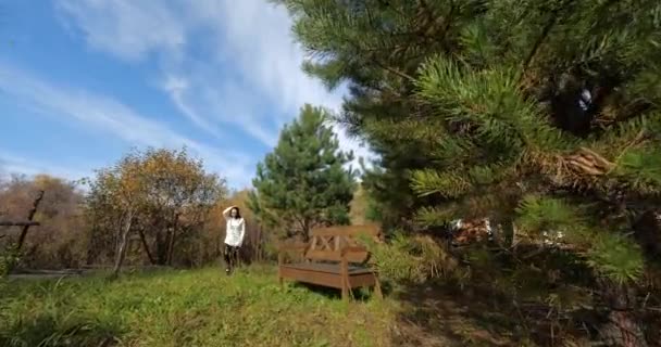 Fille heureuse dans le parc assis sur un banc, jeune femme, avec téléphone, cheveux bruns longs . — Video