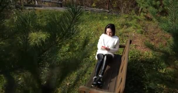 Chica feliz en el parque sentado en un banco, mujer joven, con teléfono, pelo largo morena . — Vídeos de Stock