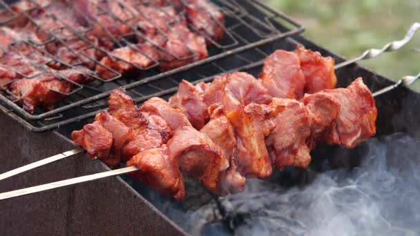 Grillowane stawka na grilla. Kawałek mięsa — Wideo stockowe