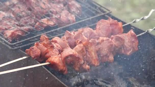 Estaca a la parrilla en barbacoa. Trozo de carne — Vídeos de Stock