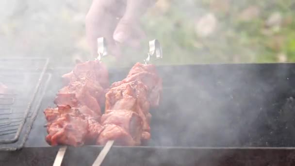 Gegrilde steak op de barbecue. Stukje vlees. Vlees op de grill — Stockvideo