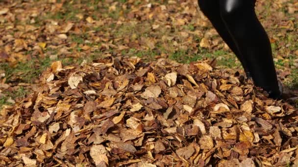 Glad tjej med blad i parken. Gula blad — Stockvideo