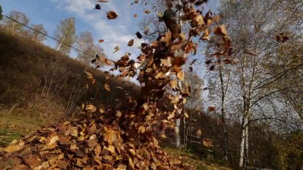 Fille heureuse avec des feuilles dans le parc. Feuillage jaune 