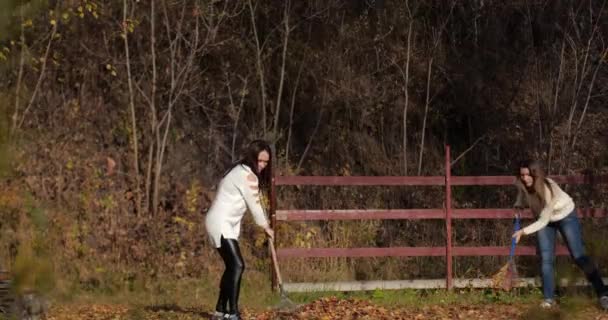 Δύο κορίτσια ευτυχισμένη καθαρίσετε τα φύλλα στο πάρκο. Κίτρινο φύλλωμα — Αρχείο Βίντεο