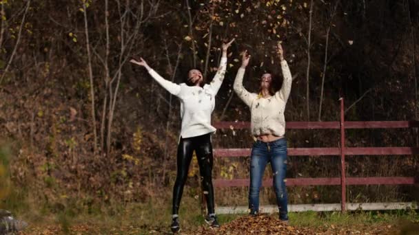 Dos chicas felices con hojas en el parque. Follaje amarillo — Vídeo de stock