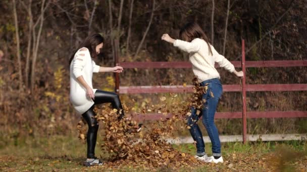 Zwei glückliche Mädchen mit Blättern im Park. gelbes Laub — Stockvideo