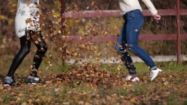 Две счастливые девушки с листьями в парке. Желтая листва — стоковое видео