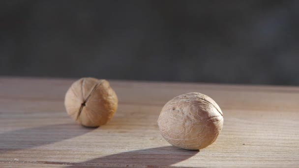 Cracking a nut. walnut — Stock Video