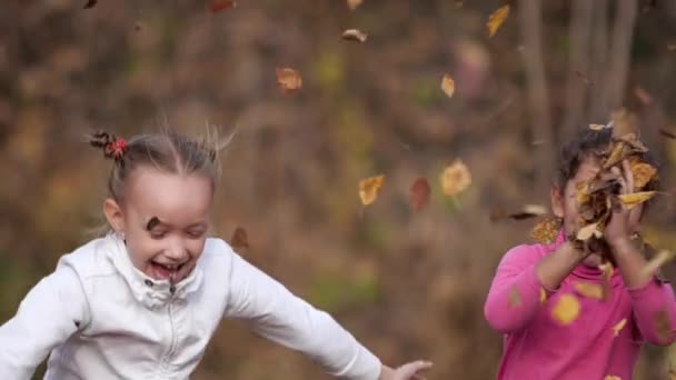 Deux petites filles heureuses avec des feuilles dans le parc. Feuillage jaune 
