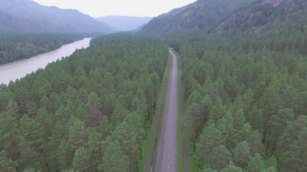 Fotografia aérea na estrada na floresta, com um drone. Zona montanhosa — Vídeo de Stock