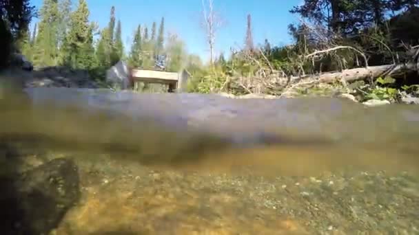 Flujo Del Río Las Montañas Hermoso Paisaje — Vídeo de stock