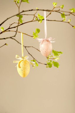 Taze yaprakları pembe bir arka plan üzerinde renkli yumurta. Paskalya, bahar tatil