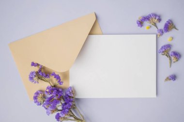 Beyaz boş tebrik kartı ya da açık gri arkaplanda mor çiçek süslemesi olan davetiye kartı. Sunum uydurma. Düz konum, kopyalama alanı olan üst görünüm. En küçük arkaplan