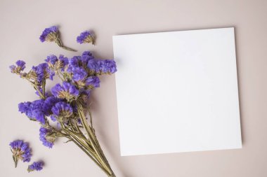 Beyaz boş tebrik kartı ya da bej arka planda mor çiçek süslemesi olan davetiye kartı. Sunum uydurma. Düz konum, kopyalama alanı olan üst görünüm. En küçük arkaplan