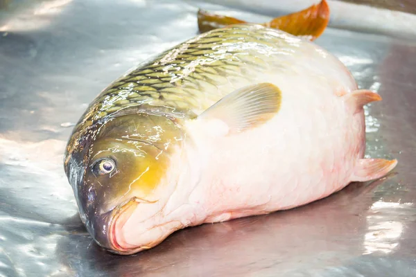 Fresh fish on a marketplace table — Stock Photo, Image