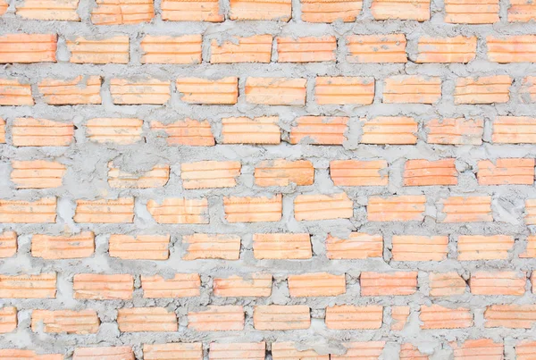 Clutching a brick wall panel is made up by bricks and mortar, concrete medium of binders.