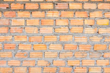 Bir tuğla duvar paneli clutching tuğla ve harç, bağlayıcılar beton orta oluşur.