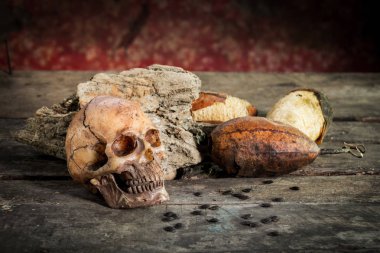 Eski ahşap arka plan üzerinde insan kafatası