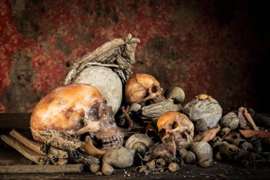 Kurumuş odun insan kafatası ile natürmort