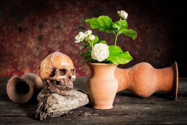 Bir kafatası ve vazo, toprak ile natürmort