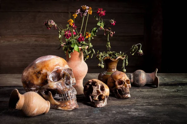 stock image Still Life with a Skull and vase,earthenware