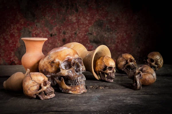 Still Life Skull Vase Earthenware — Stock Photo, Image