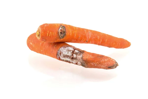 Гнилая Морковь Белом Фоне — стоковое фото