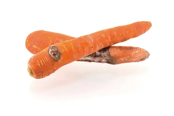 Beyaz arka planda çürük havuç.