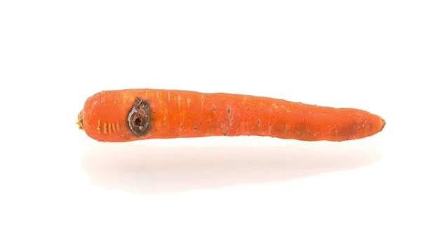 Rotten Carrot Isolated White Background — Stock Photo, Image