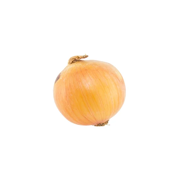 Onion Diisolasi Latar Belakang Putih — Stok Foto