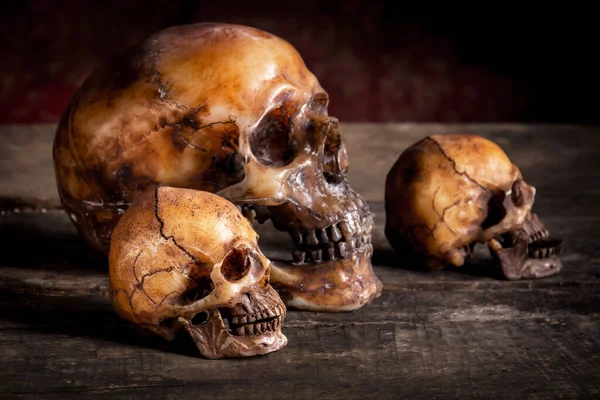 Cráneo Humano Sobre Fondo Madera Vieja Naturaleza Muerta — Foto de Stock