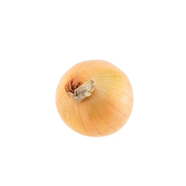 Onion Diisolasi Latar Belakang Putih — Stok Foto