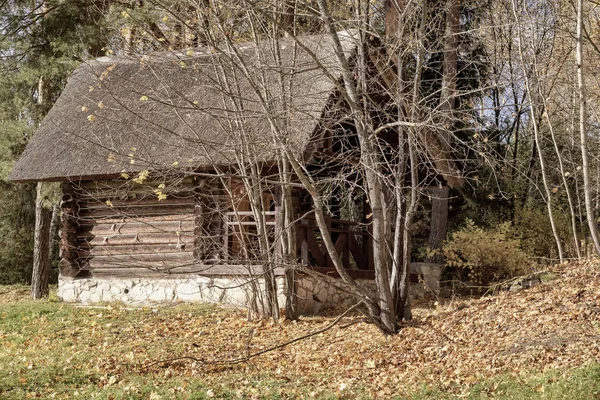 Старый Заброшенный Заброшенный Деревянный Винтажный Дом Окраине Леса Живописного Леса — стоковое фото