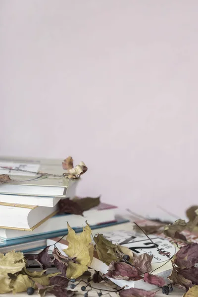 Podręczników szkolnych, podręczników na stole z kolorowe, jesienne liście, pionowe fioletowe tło, miejsce. Pojęcie począwszy od szkoły, Szkoła, edukacja — Zdjęcie stockowe