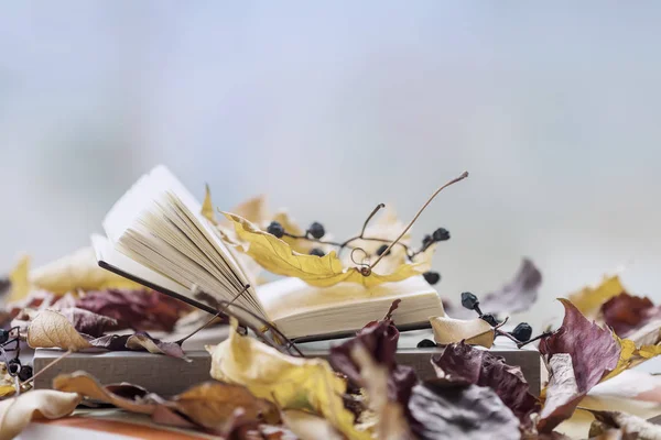 Otwórz książkę na parapecie zbliżeniu między jesienią liści, miejsce, dzień słoneczny upadek, jasnym tle, miejsce. Koncepcja kształcenia, romantyczny nastrój, pisanie — Zdjęcie stockowe