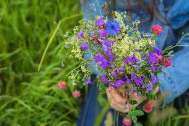 Parlak yeşil çayır arka plan üzerinde güzel yaz kır çiçekleri buketi Close-up. Mevsim, çevre ve ekoloji, Doğa, doğal arka plan kavramı