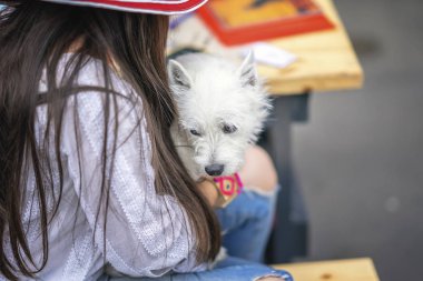Şapkalı bir uzun saçlı, parkta bir ortak yaz tatili tanınmaz halde bir kız elinde kabarık beyaz köpek