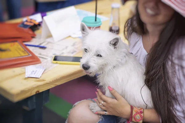 Fluffy little white dog in the hands of an unrecognizable girl with long hair in a hat, a joint summer vacation in the park — Stock Photo, Image