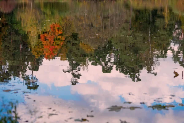 Αντανάκλαση από τα διαφορετικά γραφική φωτεινό πολύχρωμο φθινόπωρο δέντρα. Το φθινόπωρο, το τοπίο της το παλιό πάρκο. Με τα πόδια, την διάθεση, την έννοια της νοσταλγίας — Φωτογραφία Αρχείου