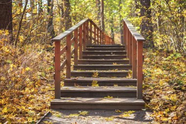 Yalnız eski ahşap Bank altında boş Sonbahar Park yaprakları, orman düşmek. Mevsim, nostaljik ruh kavramı