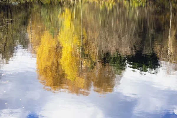 風光明媚な明るくカラフルな秋の木々、水の反射。秋、古い公園の風景。散歩、気分、懐かしの概念。自然の背景 — ストック写真